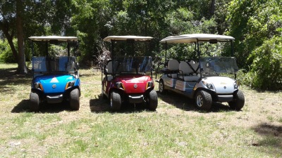 Affordable Golf Cart Rentals in St. Simons Island and Sea Island GA-Kustom Karts  Rental.
